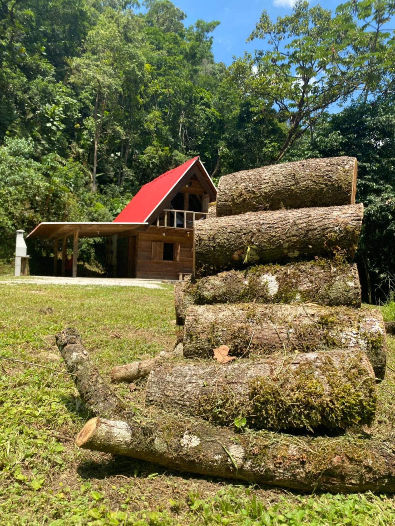 Chale Em Meio A Natureza! Guabiruba 外观 照片