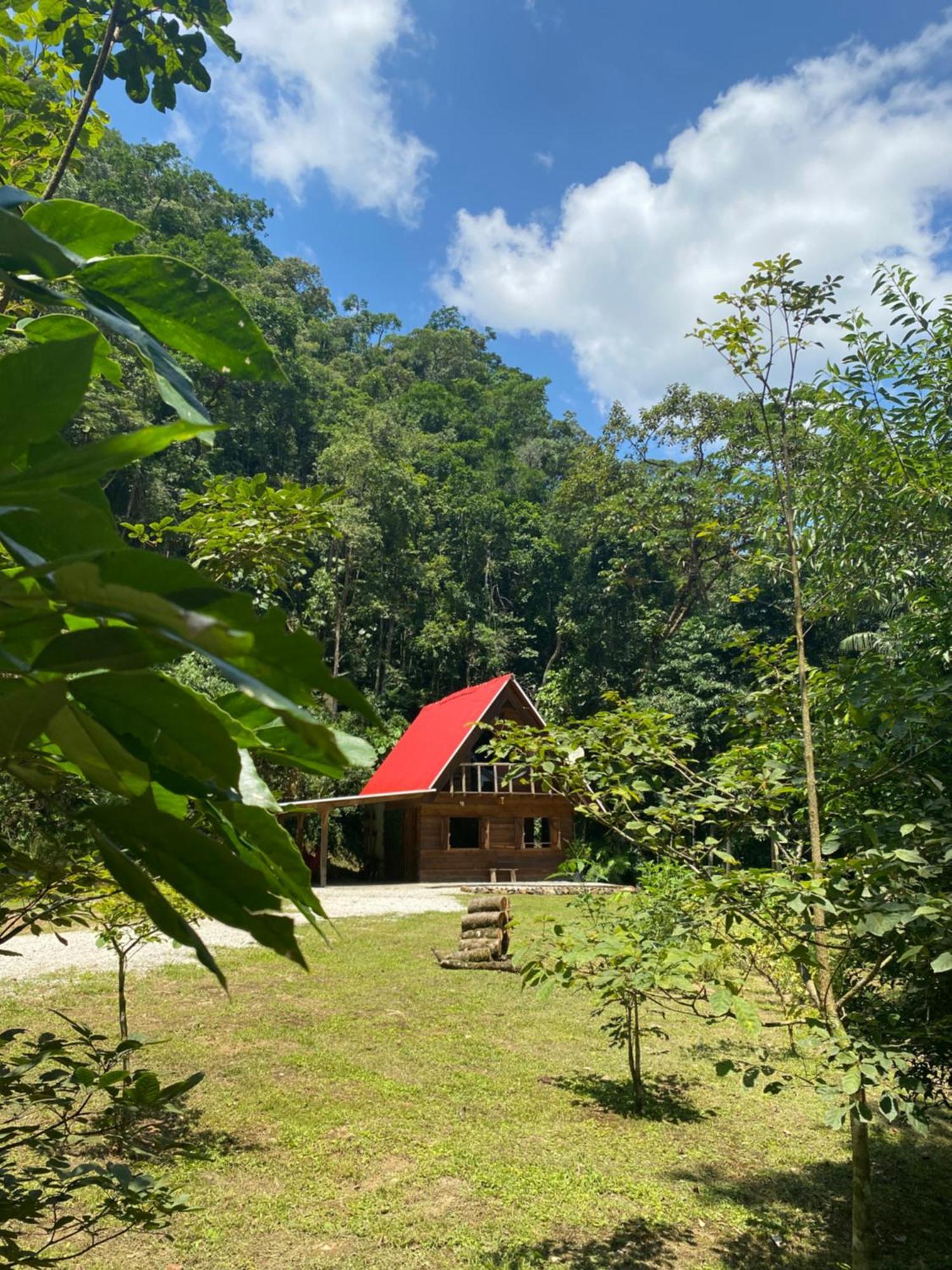 Chale Em Meio A Natureza! Guabiruba 外观 照片